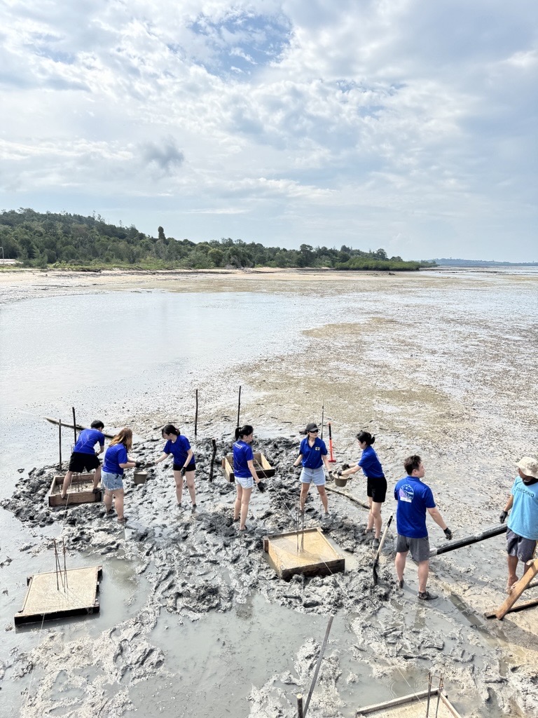 Yinson-Production-Combines-Teamwork-and-Conservation-in-Batam-Turtle-Sanctuary-Project-3